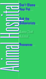 Animal Hospital menu (see bottom of page for text links)